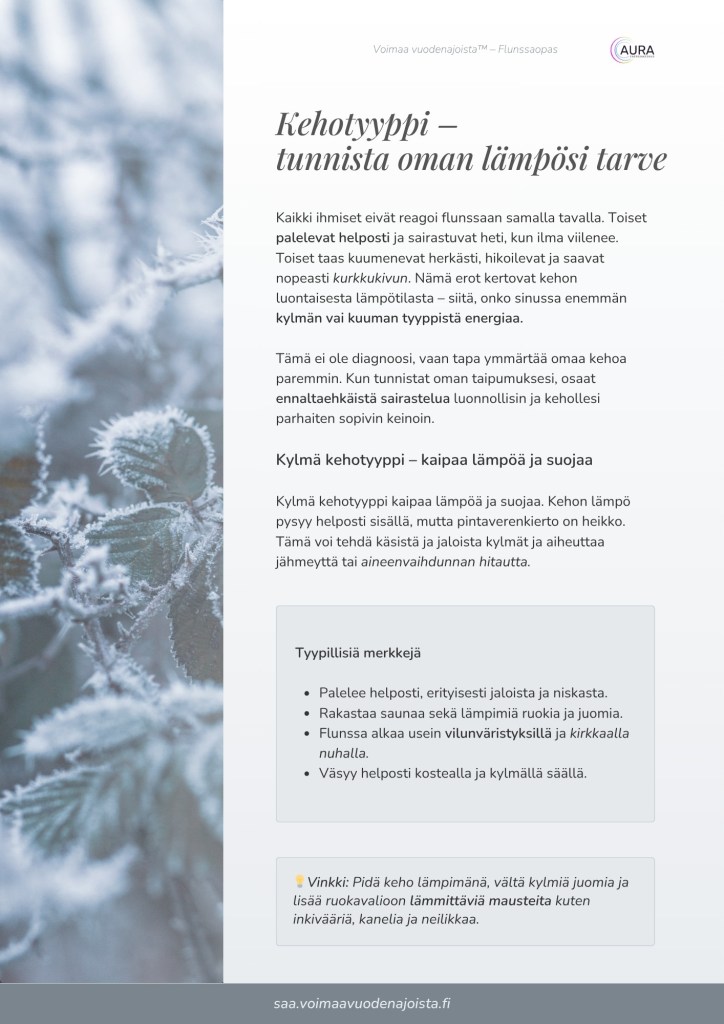 Talvinen lähikuva huurteisista kasveista symboloi kehotyyppien eroja ja kehon lämmön tarvetta. Kuvitus Voimaa vuodenajoista™ Flunssaoppaasta.