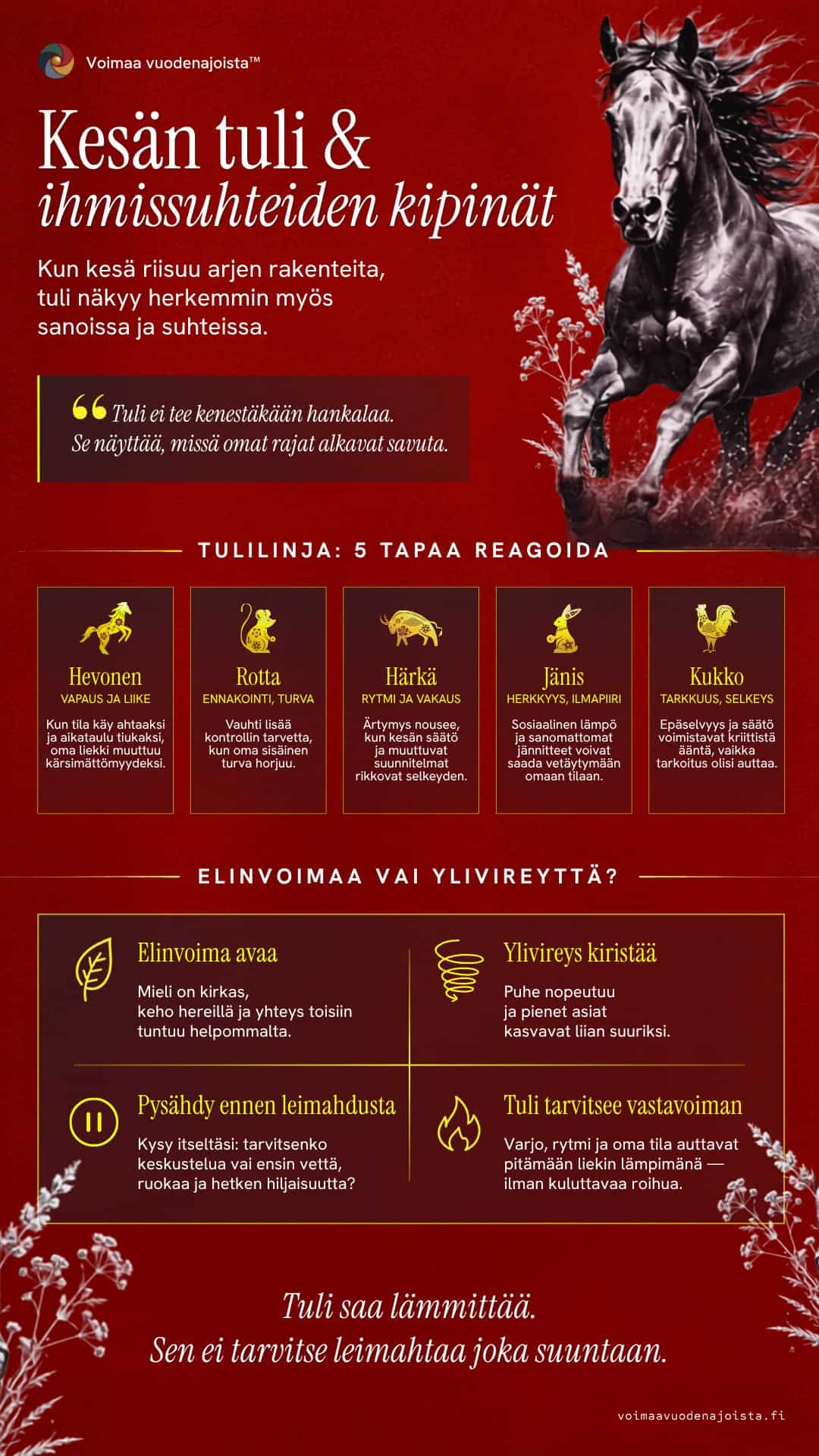 Infograafi