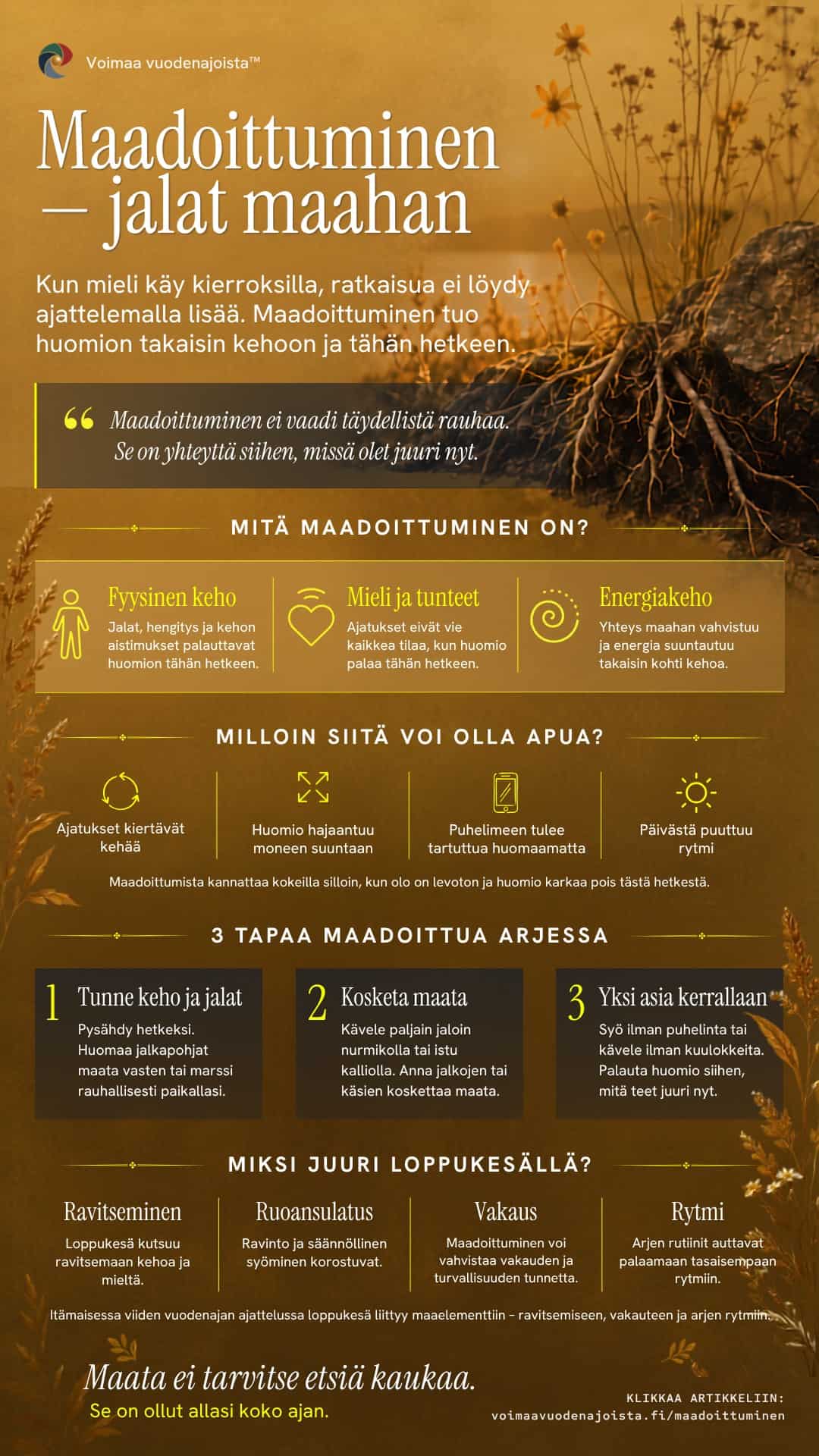 Infograafi